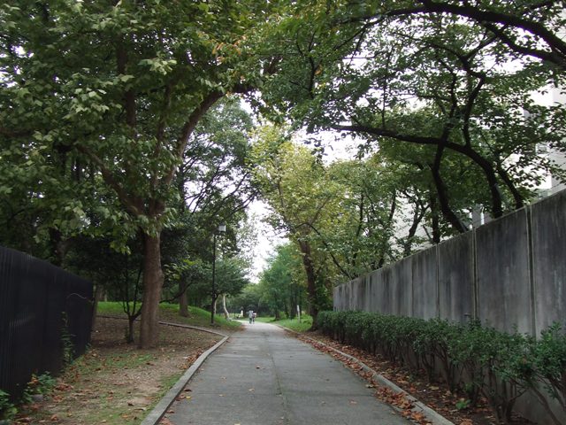 Exercise around the Nintoku Mausoleum, the largest graveyard in the world_e0046748_23384464.jpg