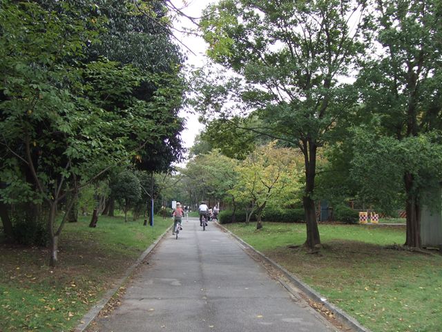 Exercise around the Nintoku Mausoleum, the largest graveyard in the world_e0046748_23385835.jpg