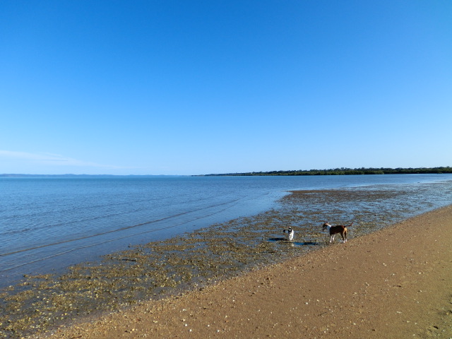e0171460_18174514.jpg