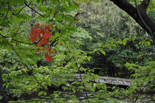 e0125762_1132460.jpg
