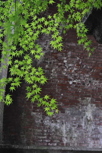 e0125762_1162017.jpg