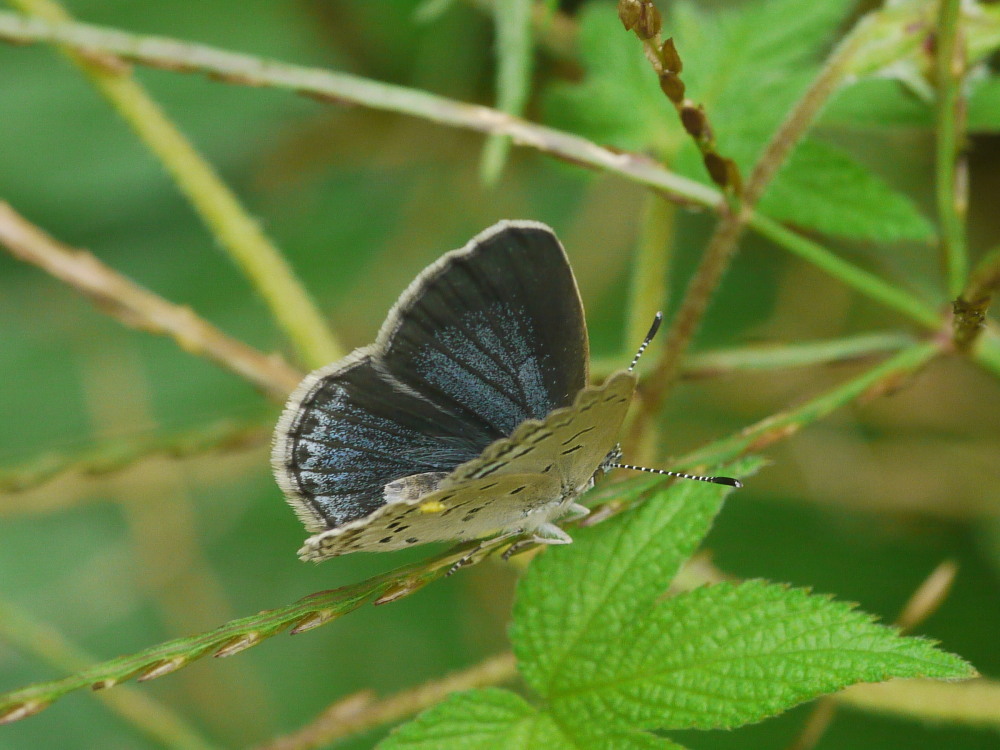 a0146869_6481036.jpg