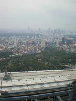 b0056570_0335829.jpg