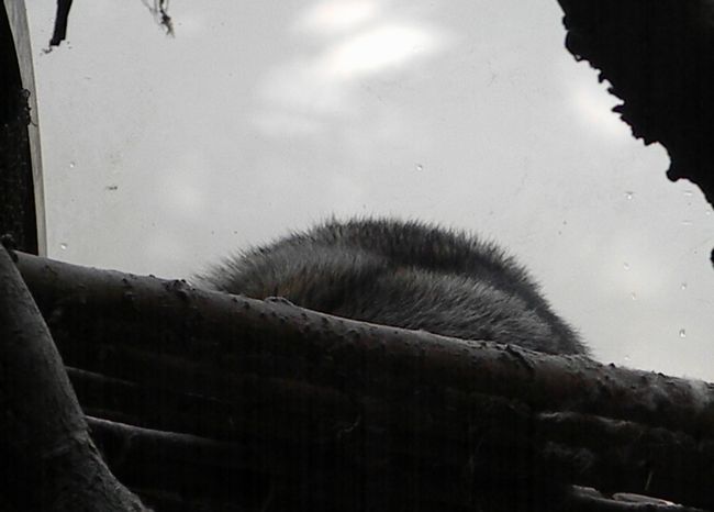 b0014576_23565420.jpg