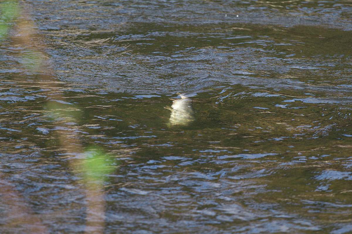 b0180476_23089.jpg
