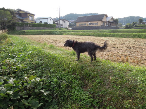 小壺作り。_d0195183_2255022.jpg