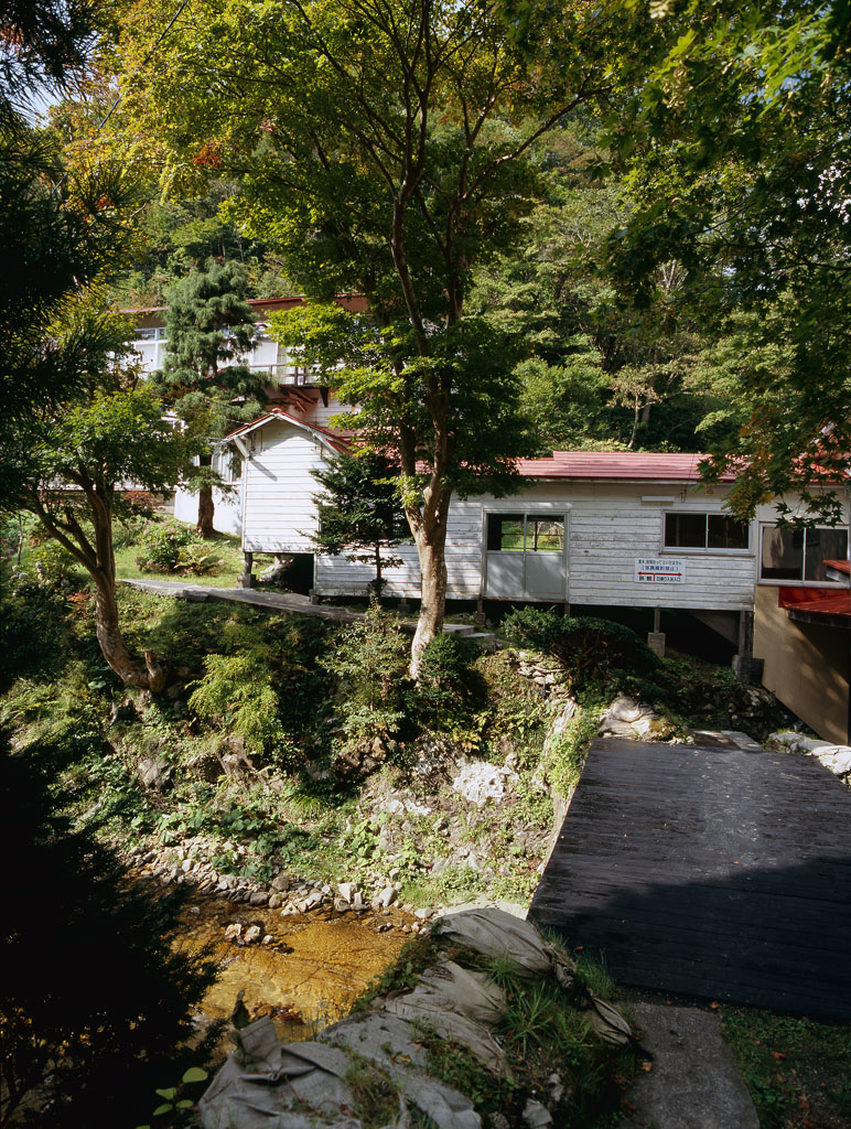 a0141385_85656.jpg