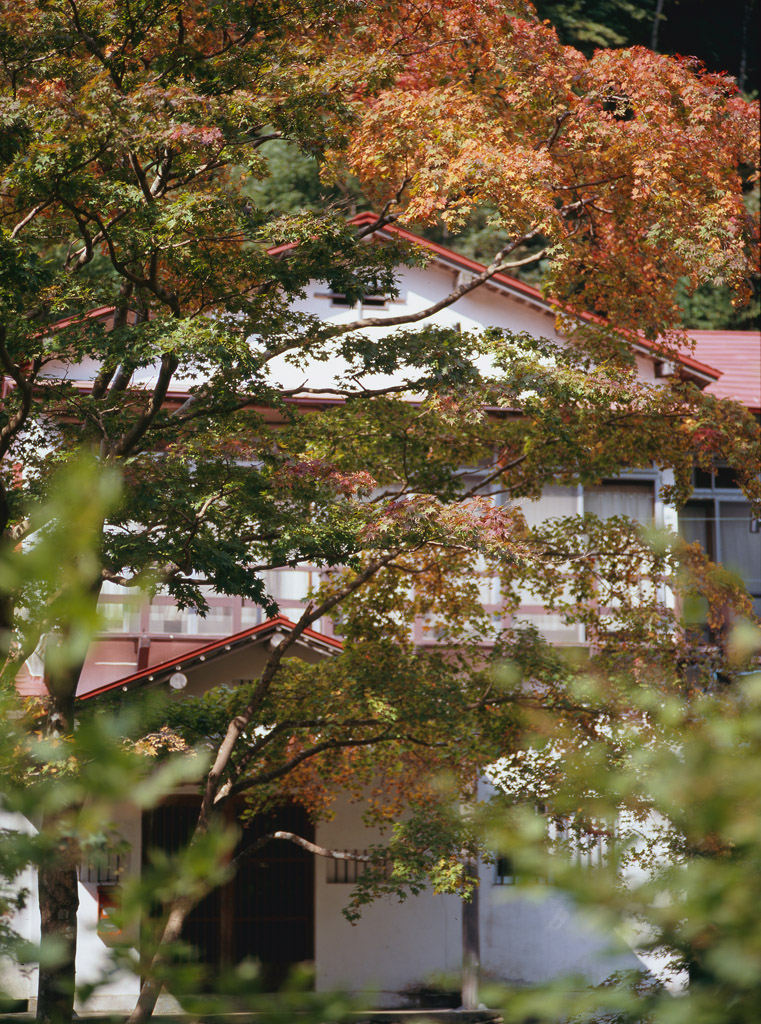 a0141385_86115.jpg