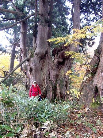 鳴谷山へリベンジ登山_b0091187_21383722.jpg