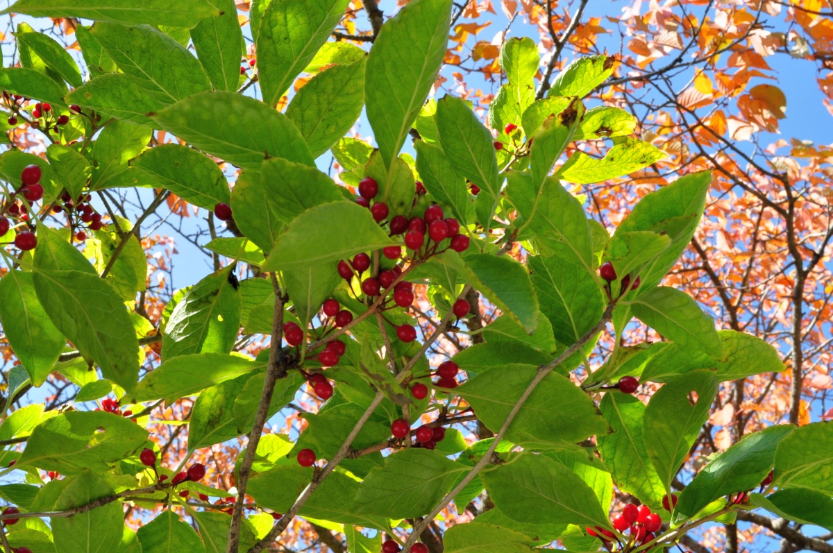 a0011690_0362890.jpg