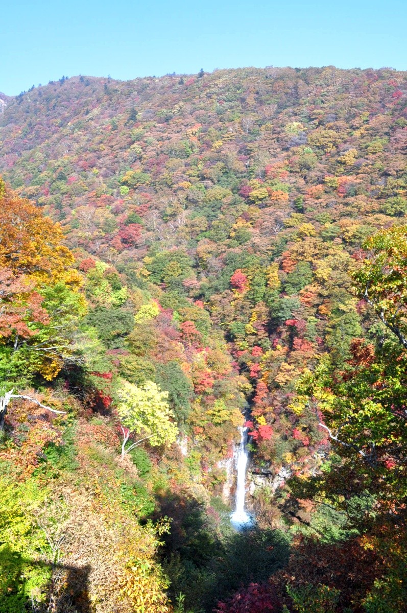 a0011690_043107.jpg
