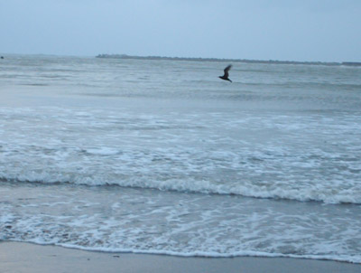 f0159390_13592124.jpg