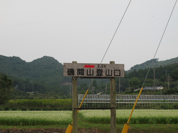 薩摩半島２日目～磯間嶽と野間岳に登る　　2011・10・10_a0166196_19113066.jpg