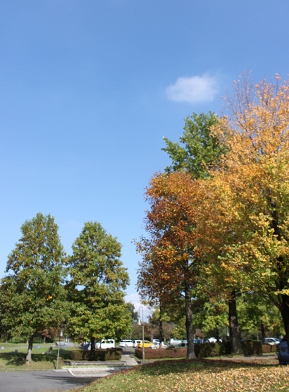 c0222400_841599.jpg