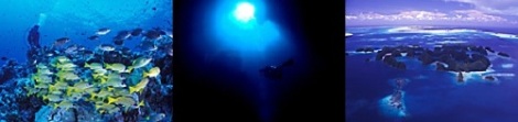 e0023100_1326291.jpg