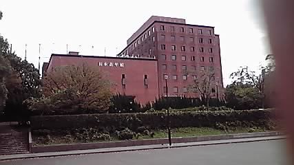 日本青年館の「杉」!_d0003502_2371192.jpg