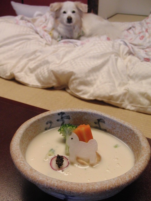 a0032004_2013737.jpg