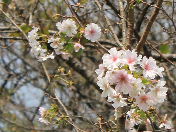 c0228404_20461.jpg
