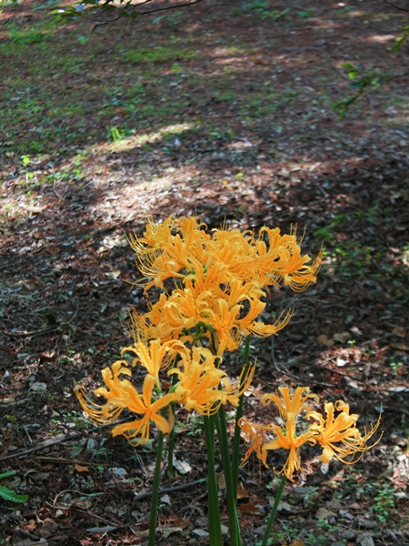 c0228404_214875.jpg