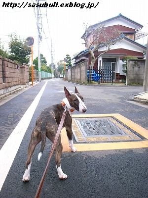 e0145805_1821763.jpg