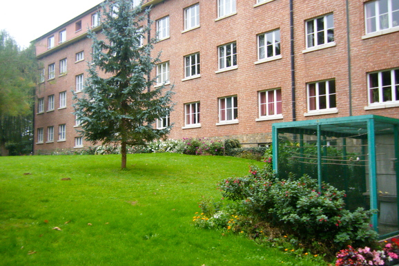 a0230008_6203023.jpg