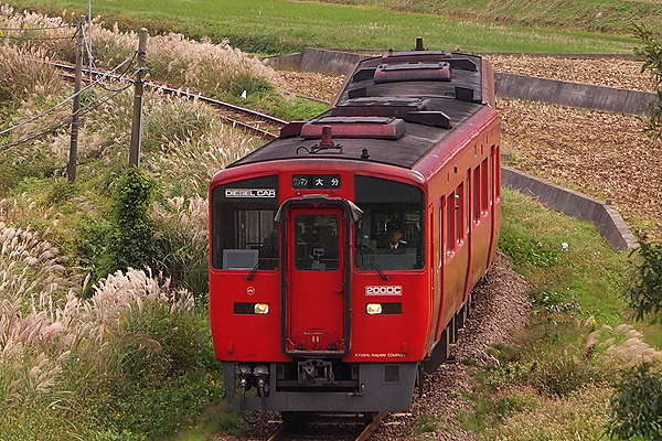 d0036708_2152967.jpg