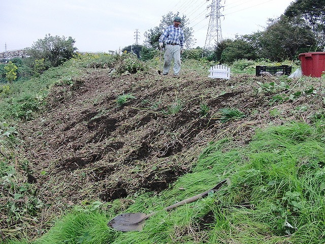 10月29日(土)に滝川で彼岸花の株分け・植付けを!_f0141310_6383925.jpg