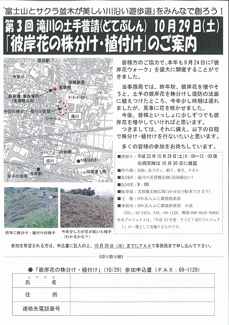 10月29日(土)に滝川で彼岸花の株分け・植付けを!_f0141310_6393789.jpg