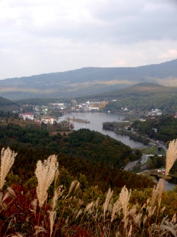 f0043911_1863731.jpg