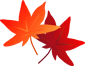 c0185914_20572396.gif