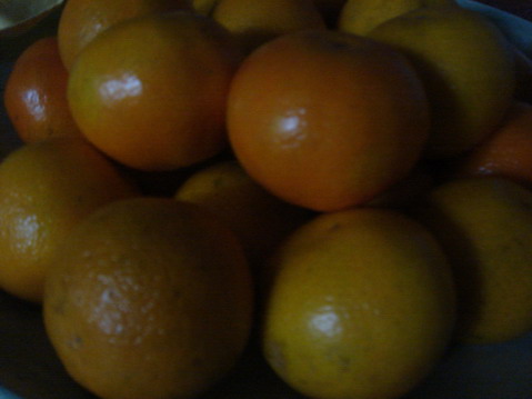 c0124619_5322079.jpg