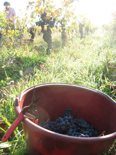 c0188527_1658382.jpg