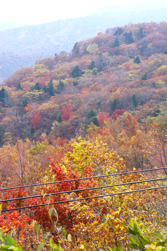 a0148230_0141131.jpg