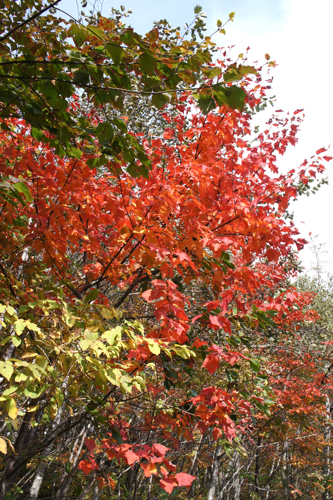 a0148230_0154258.jpg