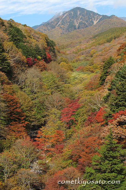 b0179231_19462947.jpg