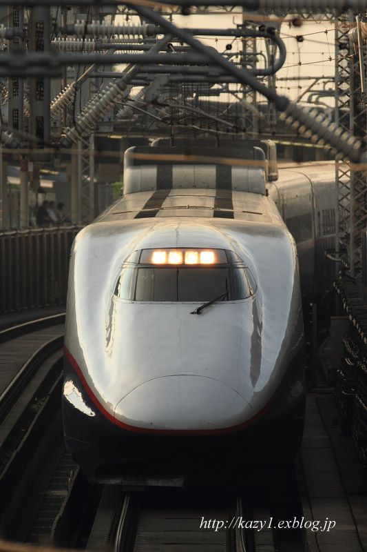 d0227332_21443939.jpg