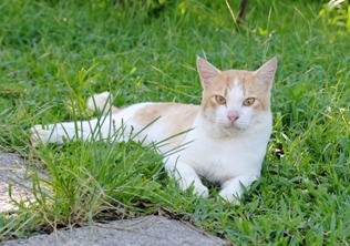 a0167341_9581667.jpg