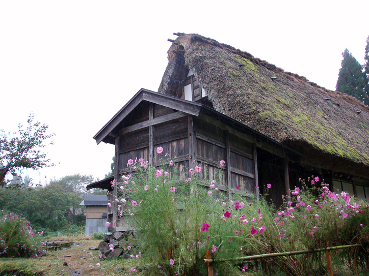 d0110641_13505594.jpg