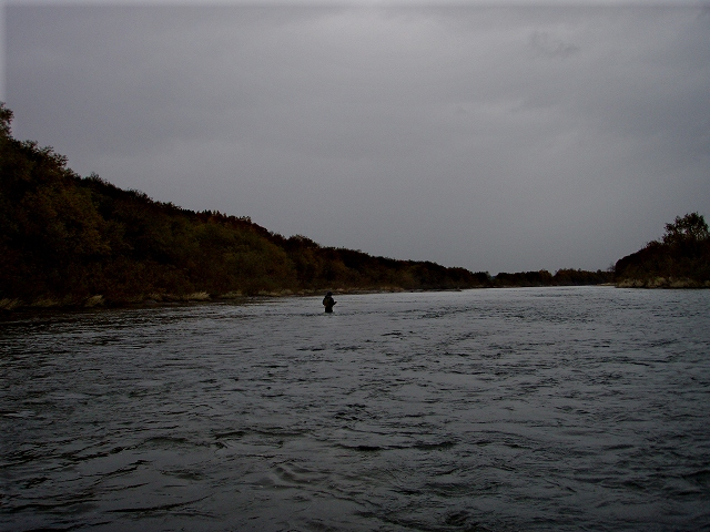 d0075843_19258100.jpg