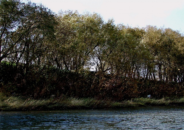 d0075843_1932476.jpg