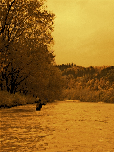 d0075843_1937284.jpg