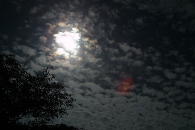 c0039145_16211491.jpg