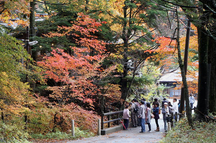 奥日光　紅葉　2011　その1_b0168647_1410539.jpg