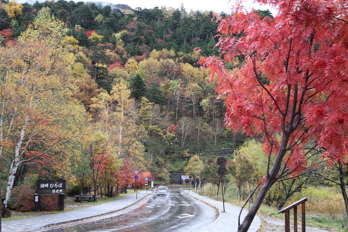 奥日光　紅葉　2011　その1_b0168647_1484342.jpg