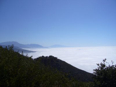 f0041447_05865.jpg