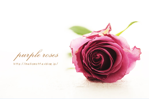purple rose_d0124248_20582610.jpg