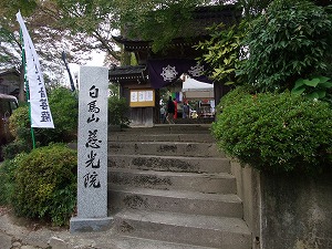 c0208355_92112.jpg