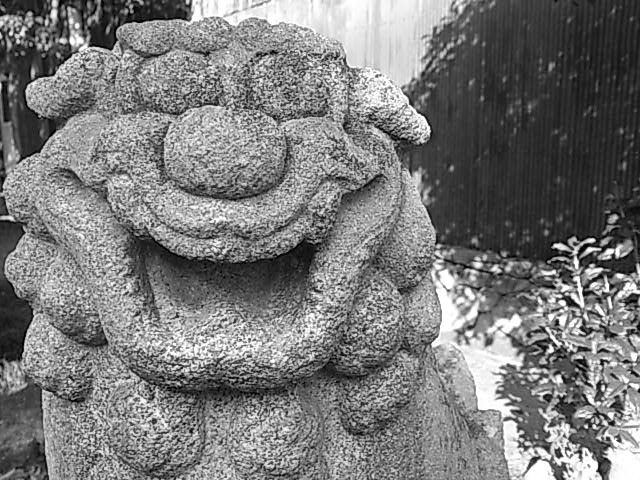 d0196758_175625.jpg