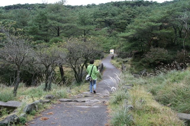 宮崎方面1泊旅行　その2_b0137459_22254284.jpg