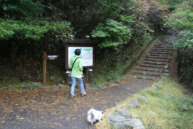 宮崎方面1泊旅行　その2_b0137459_22283497.jpg